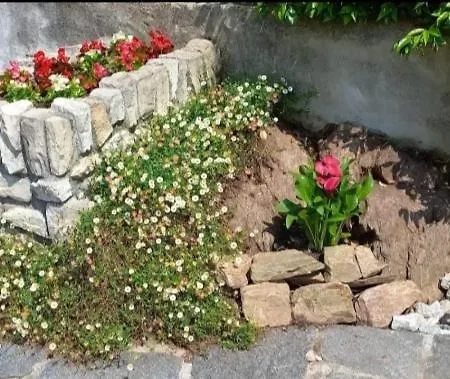 Casa Le Palme Casa vacanze Pino Lago Maggiore