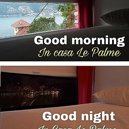 Casa Le Palme Casa vacanze Pino Lago Maggiore