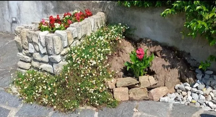 Casa Le Palme Casa vacanze Pino Lago Maggiore